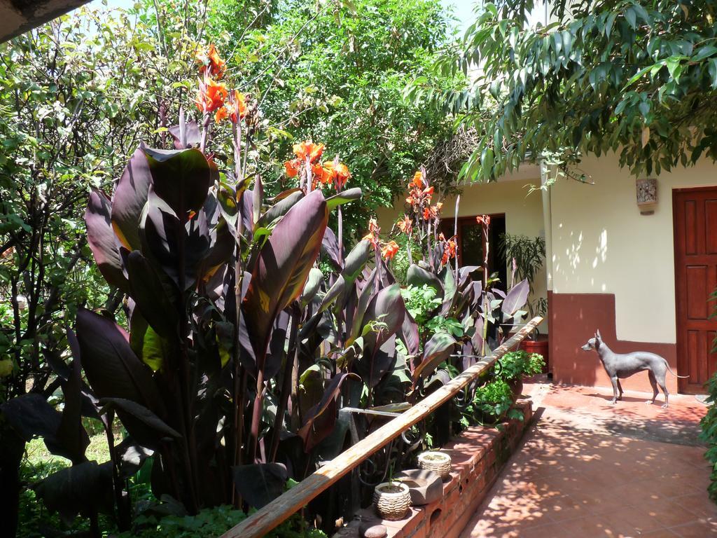 Kukuli Lodge B&B 쿠스코 외부 사진