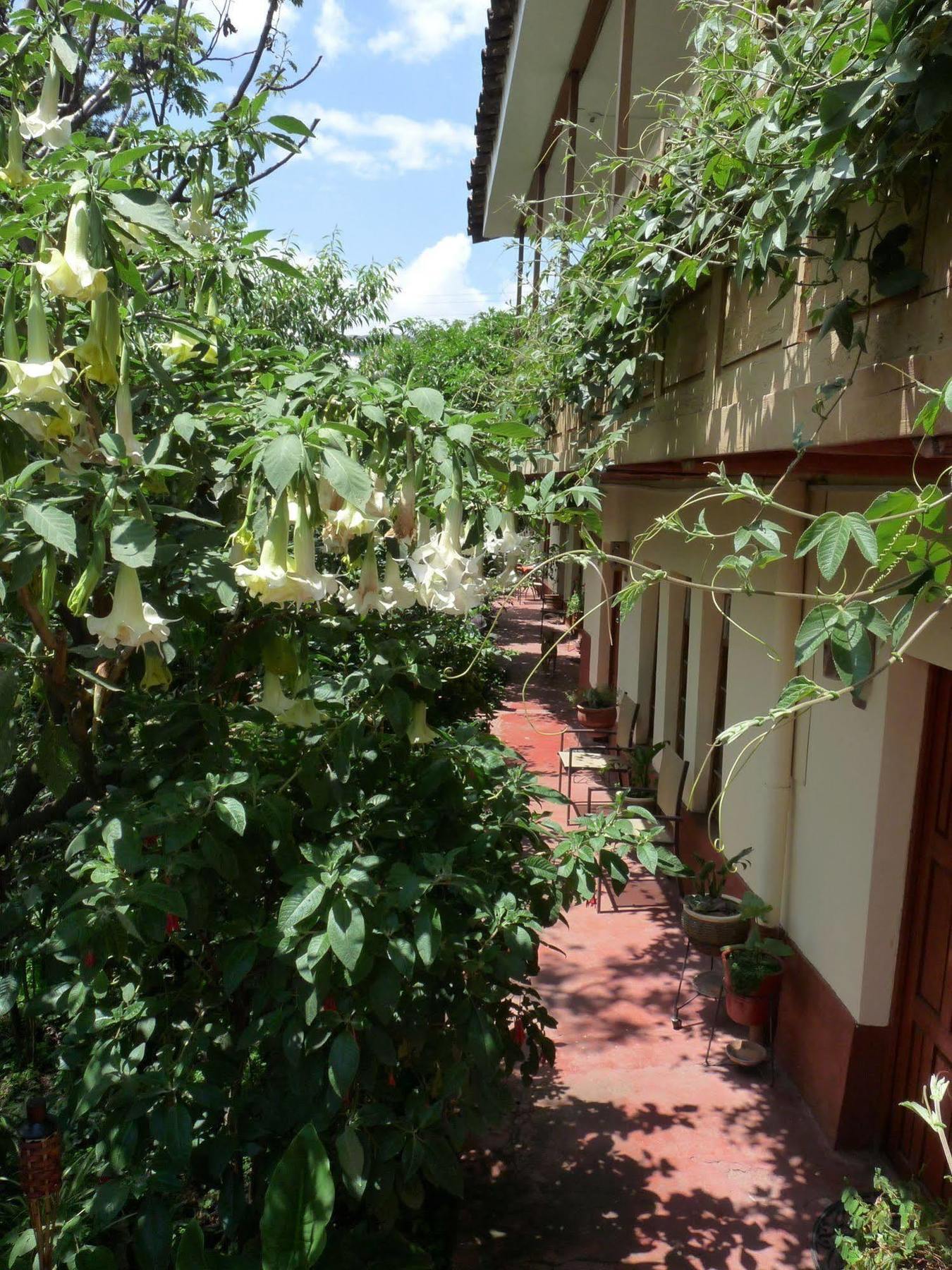 Kukuli Lodge B&B 쿠스코 외부 사진