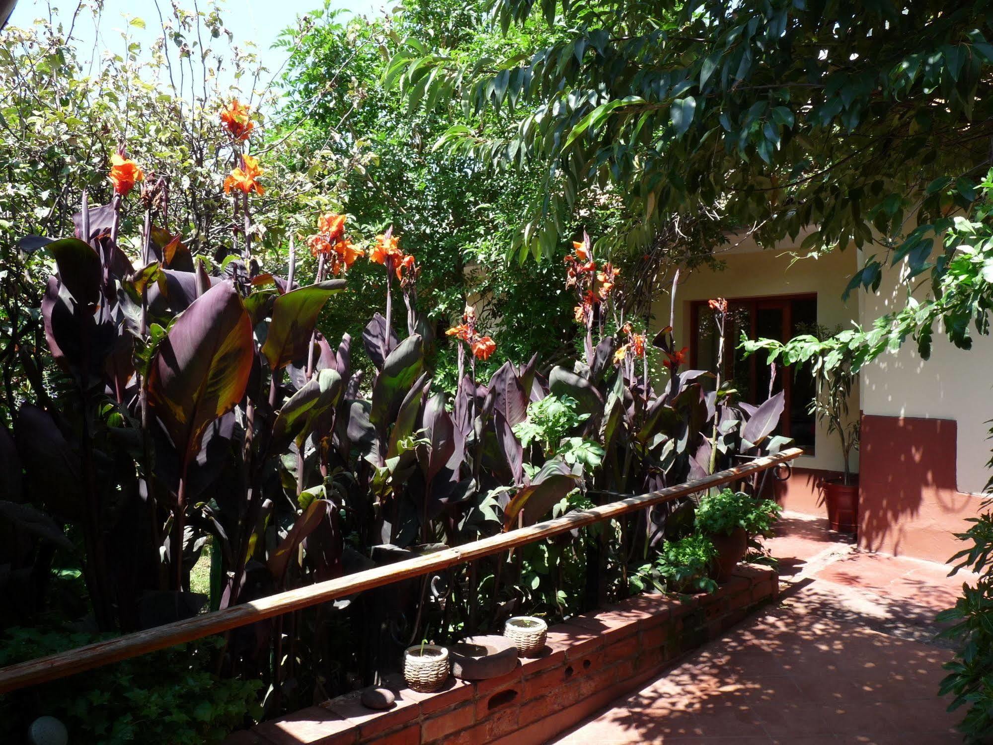 Kukuli Lodge B&B 쿠스코 외부 사진